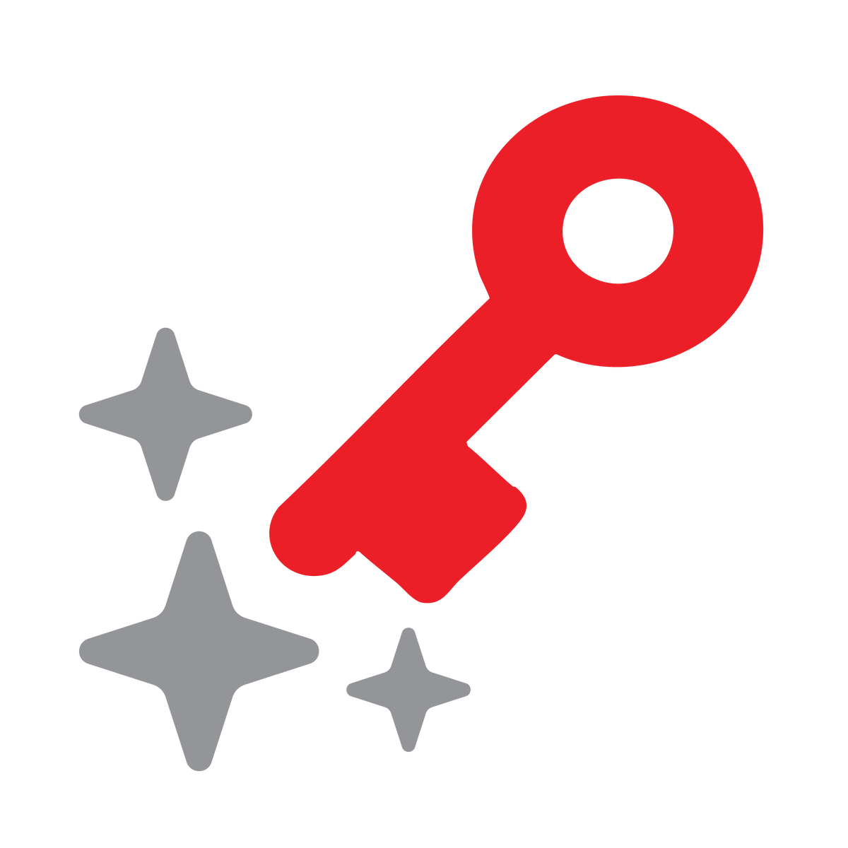 Redkey USB Red Black logo with text 'data gone forever' on a transparent background with key shape
